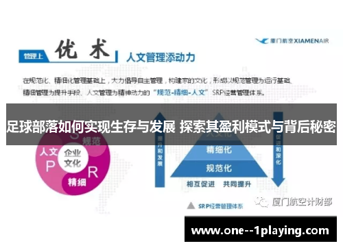 足球部落如何实现生存与发展 探索其盈利模式与背后秘密