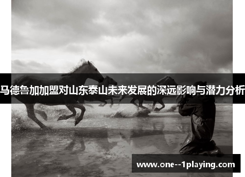 马德鲁加加盟对山东泰山未来发展的深远影响与潜力分析 马德鲁加加盟对山东泰山未来发展的深远影响与潜力分析